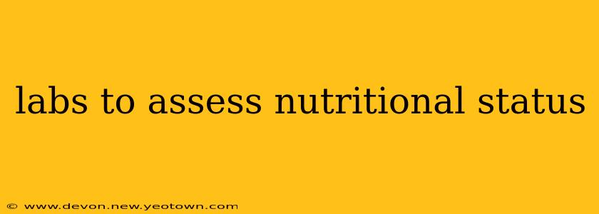 labs to assess nutritional status