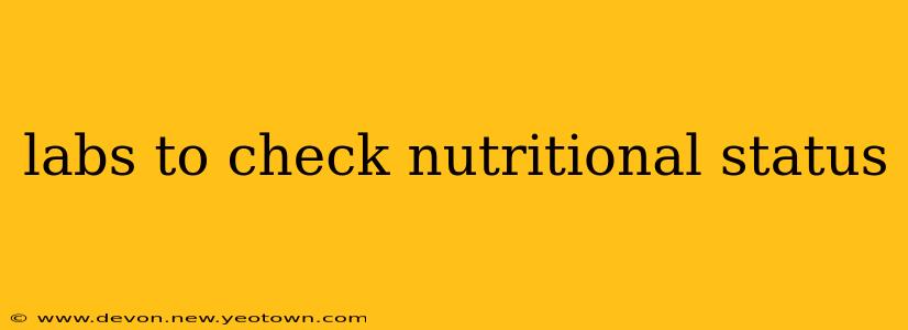 labs to check nutritional status