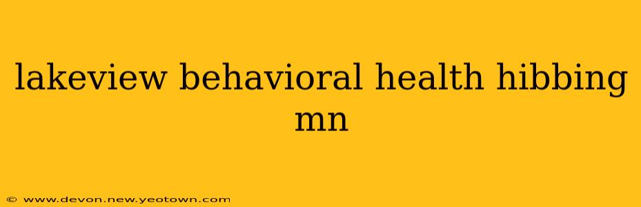 lakeview behavioral health hibbing mn