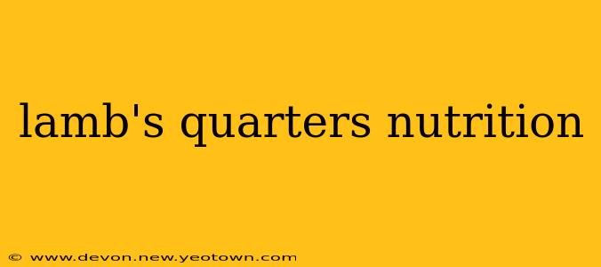 lamb's quarters nutrition