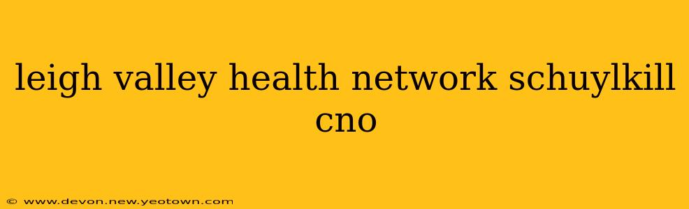 leigh valley health network schuylkill cno