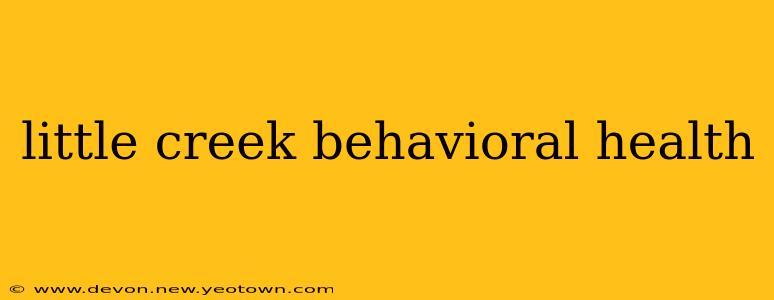little creek behavioral health