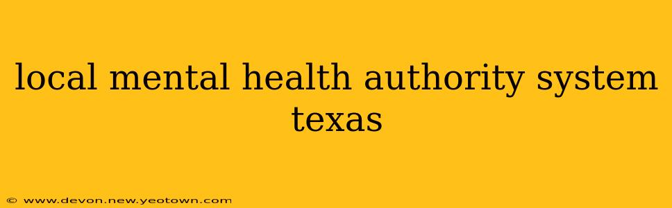 local mental health authority system texas