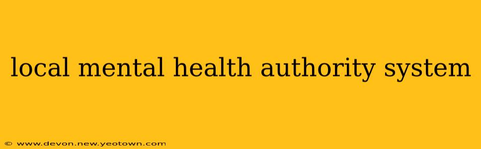 local mental health authority system