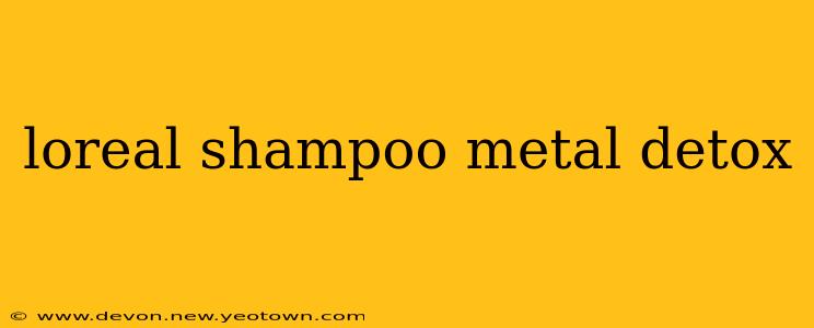 loreal shampoo metal detox