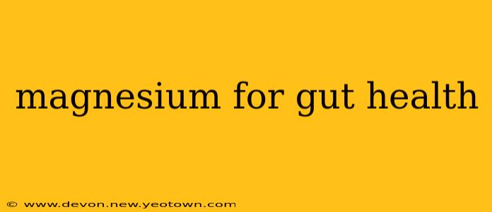 magnesium for gut health