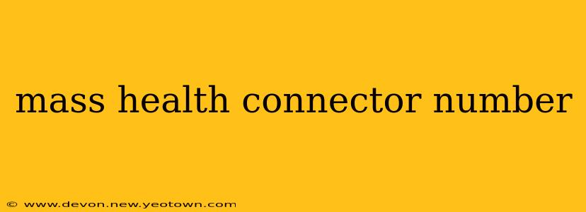 mass health connector number
