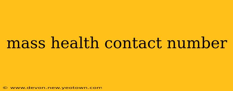 mass health contact number