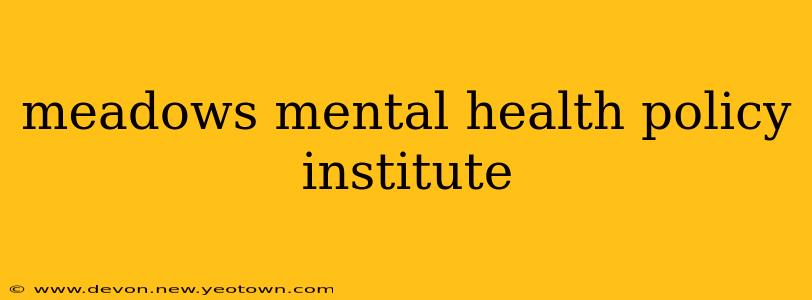 meadows mental health policy institute