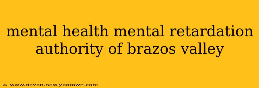 mental health mental retardation authority of brazos valley