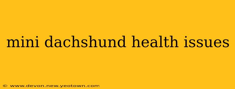 mini dachshund health issues