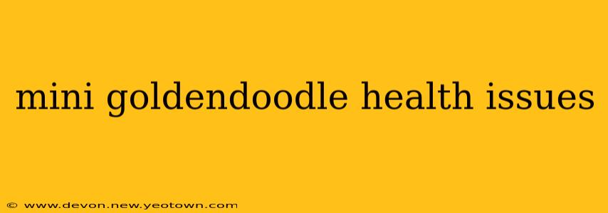 mini goldendoodle health issues
