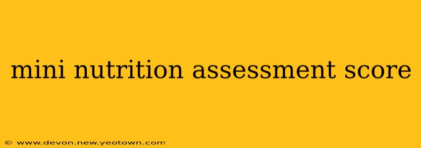 mini nutrition assessment score