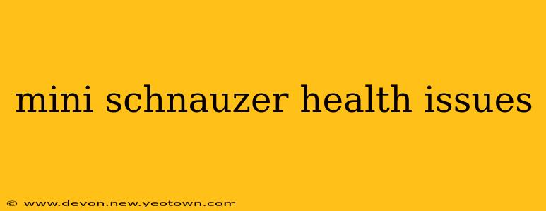 mini schnauzer health issues
