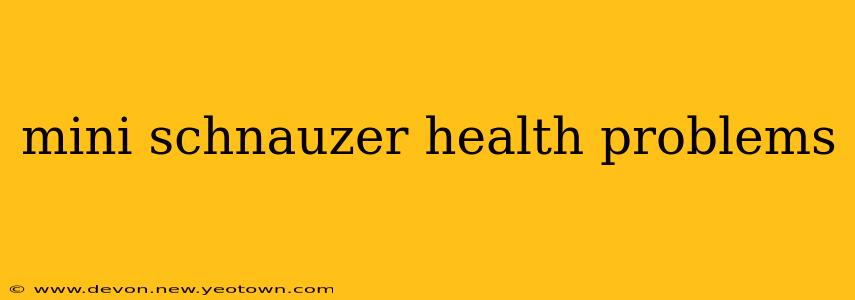 mini schnauzer health problems