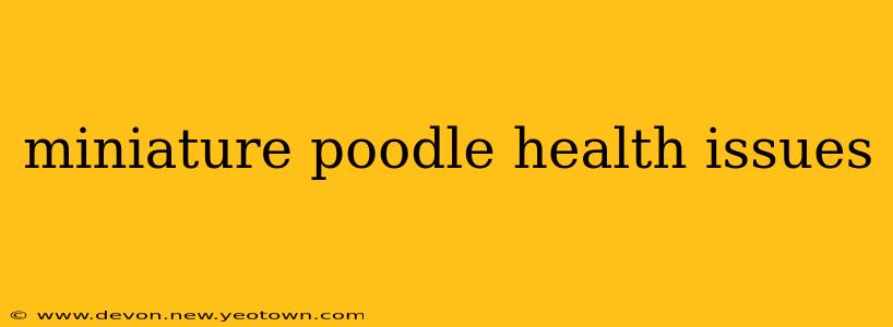 miniature poodle health issues