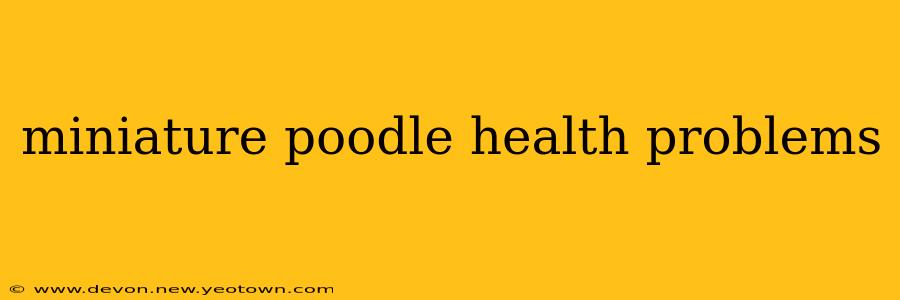 miniature poodle health problems