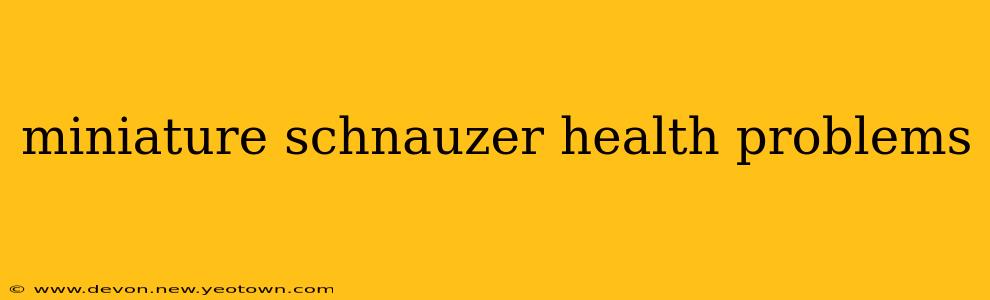 miniature schnauzer health problems