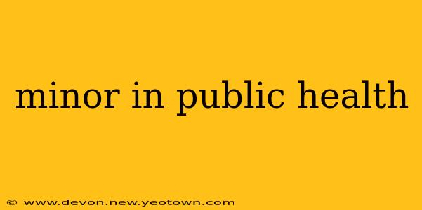minor in public health
