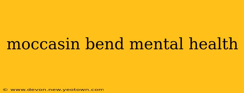 moccasin bend mental health
