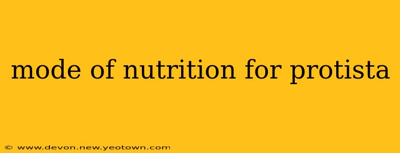 mode of nutrition for protista