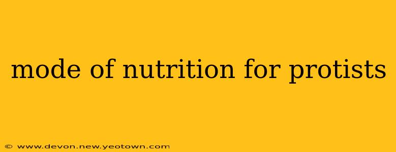 mode of nutrition for protists