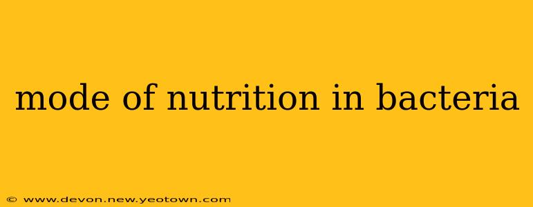 mode of nutrition in bacteria