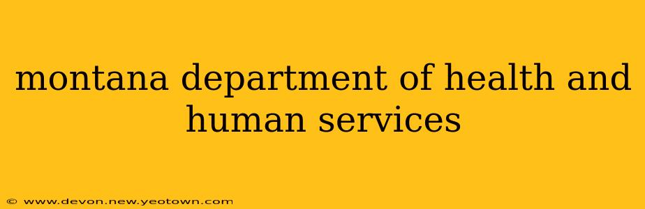 montana department of health and human services