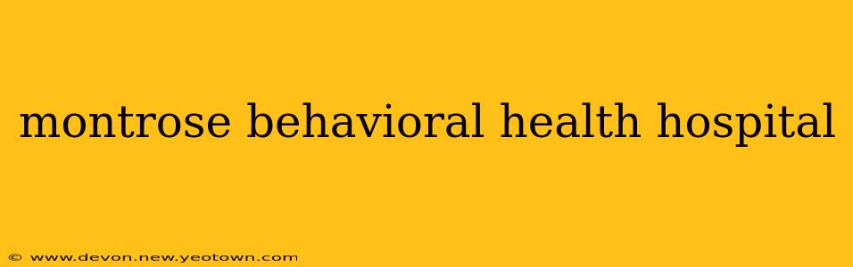 montrose behavioral health hospital