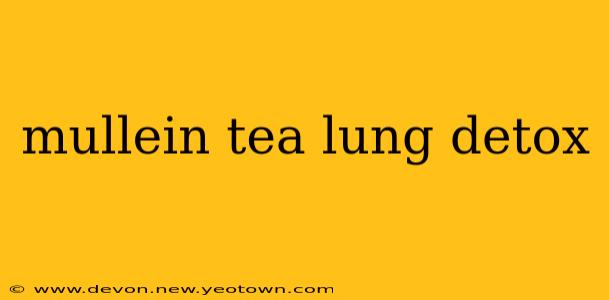mullein tea lung detox