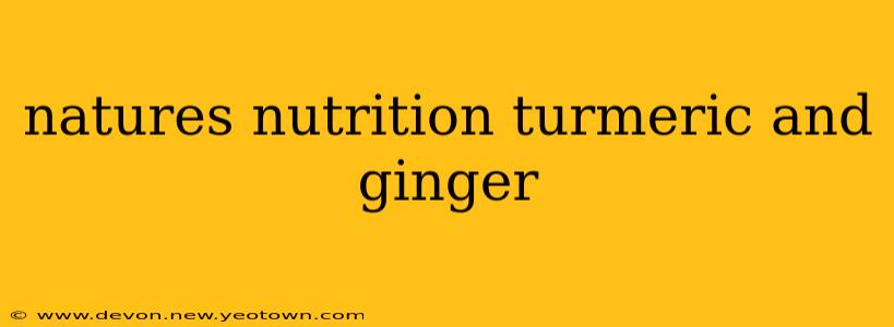 natures nutrition turmeric and ginger