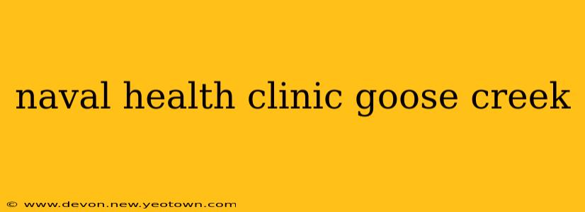 naval health clinic goose creek