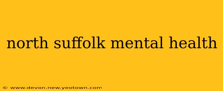 north suffolk mental health