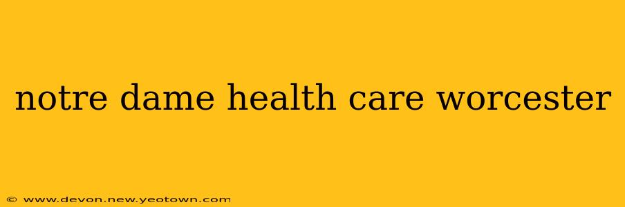 notre dame health care worcester