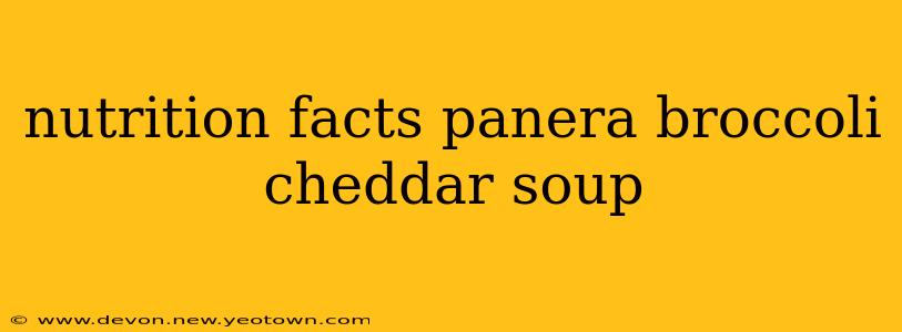 nutrition facts panera broccoli cheddar soup