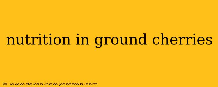nutrition in ground cherries