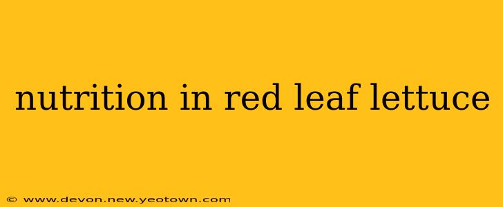 nutrition in red leaf lettuce