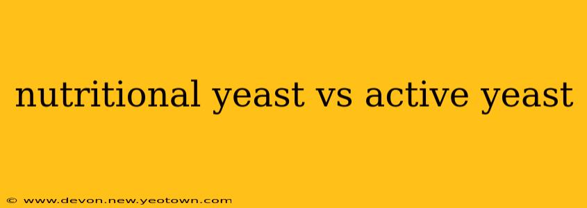 nutritional yeast vs active yeast