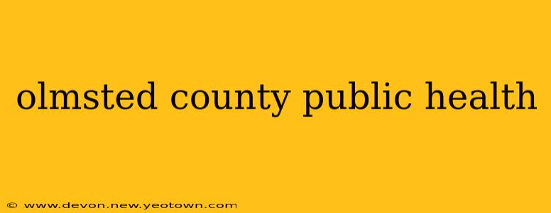 olmsted county public health