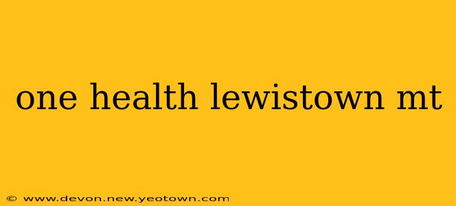 one health lewistown mt