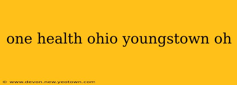 one health ohio youngstown oh