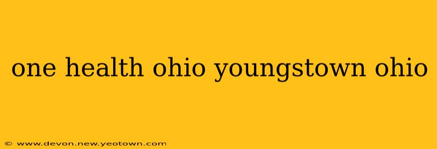 one health ohio youngstown ohio
