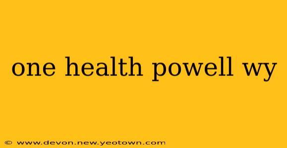 one health powell wy