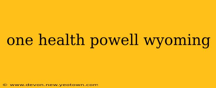 one health powell wyoming