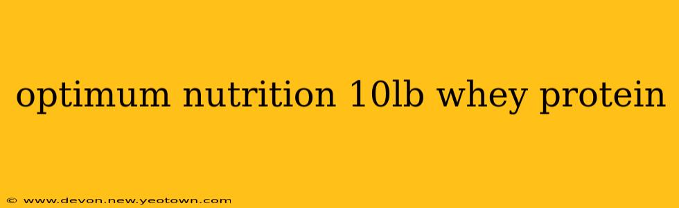 optimum nutrition 10lb whey protein