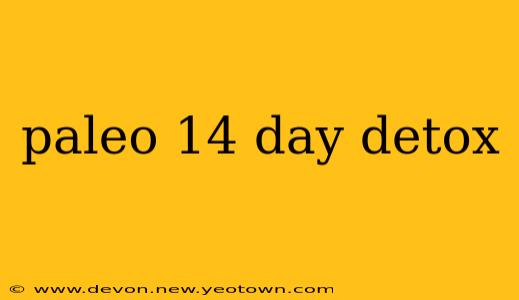 paleo 14 day detox