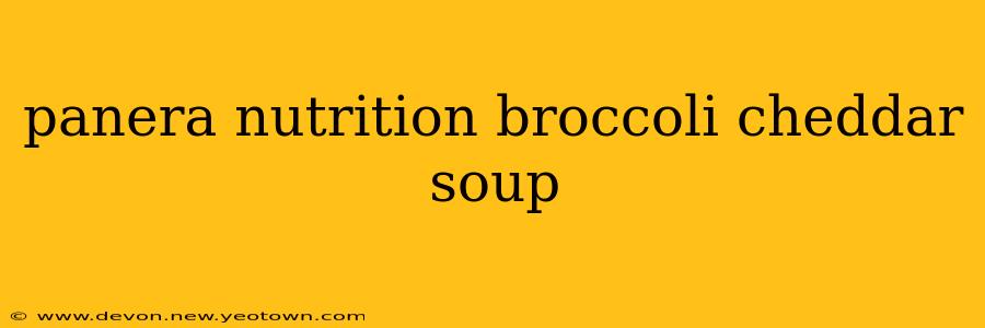 panera nutrition broccoli cheddar soup