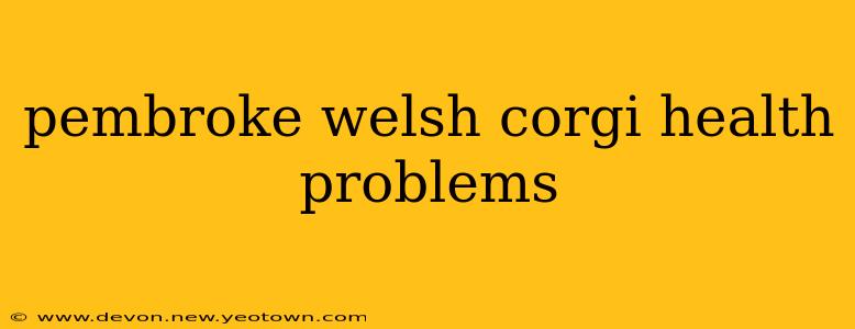 pembroke welsh corgi health problems