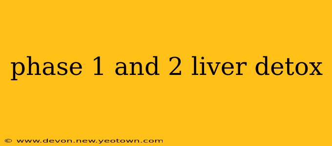 phase 1 and 2 liver detox