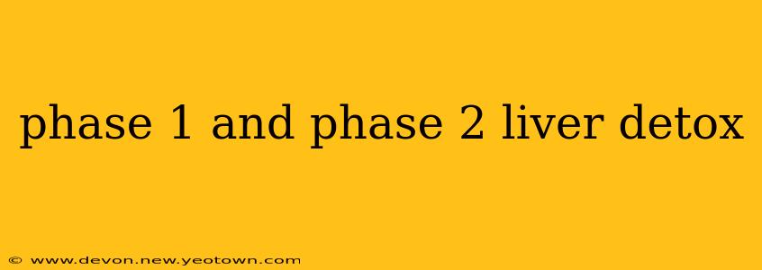 phase 1 and phase 2 liver detox